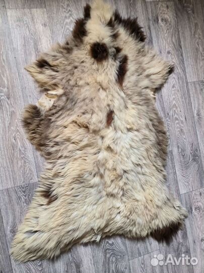 Овечья шкура