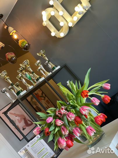 Прибыльный бизнес Ola-la доход от 200 тысяч