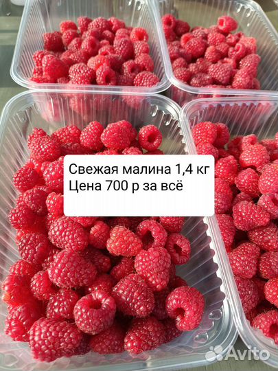 Ремонтантная малина