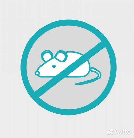 Уничтожение грызунов. Дератизация