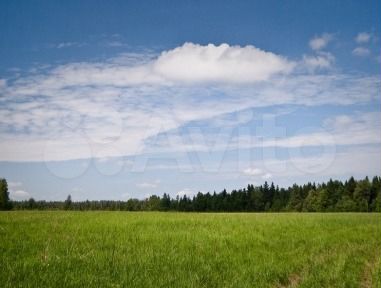 Участок 6,5 сот. (ИЖС)