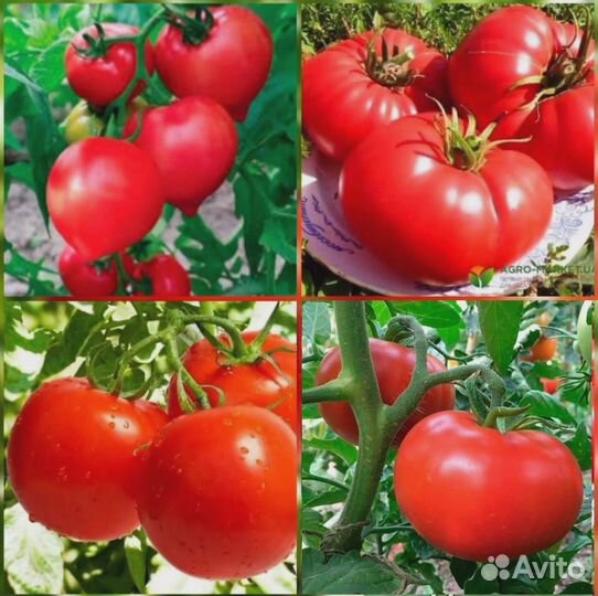 Работники на изготовление маринадов, салатов, вахт