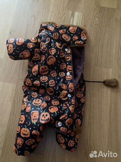 Одежда для Йорка