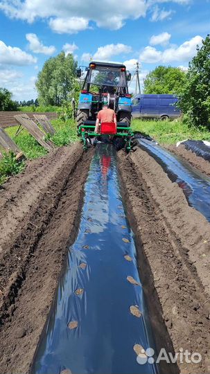 Грядообразователь плёнкоукладчик в аренду