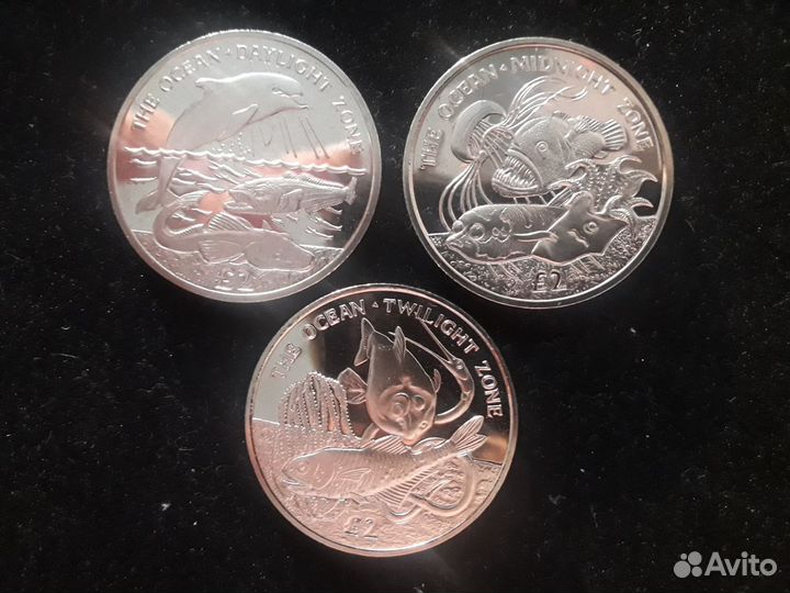 Памятные монеты Ю. Сандвичевых островов