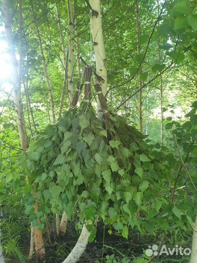 Продам банные веники