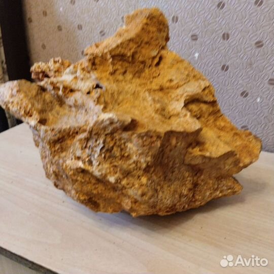 Декор для аквариума