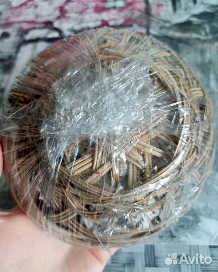 Набор ракушек