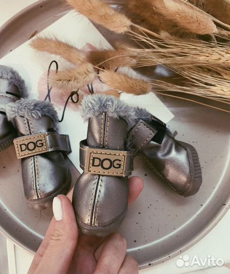 Обувь для собак