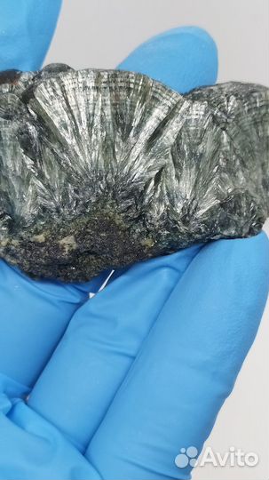 Серафинит, клинохлор