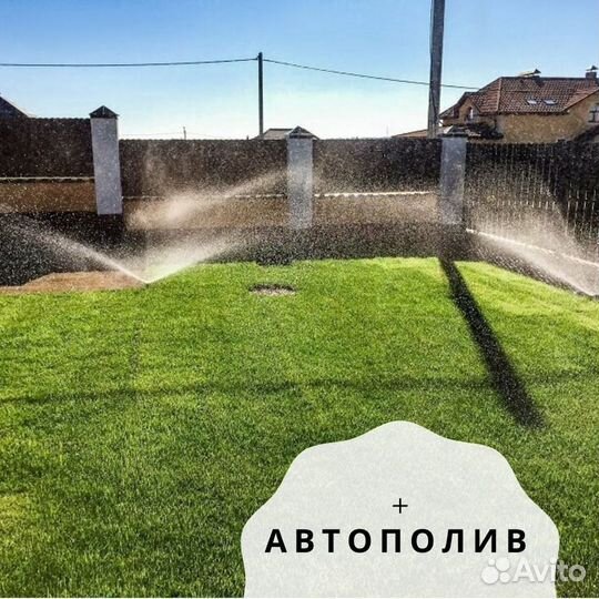 Рулонный газон по всей Москве