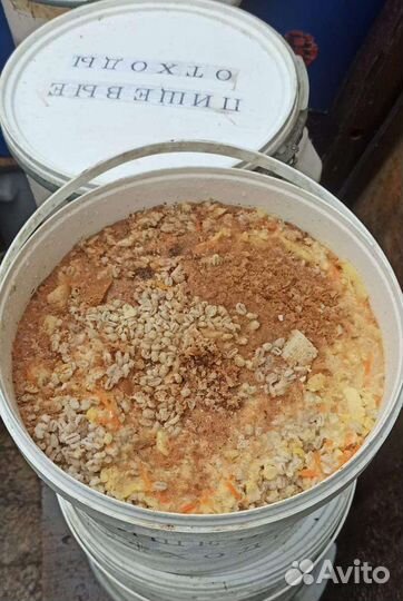 Пищевые столовые отходы