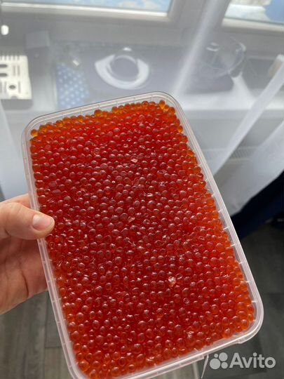 Икра красная Кета 1 кг