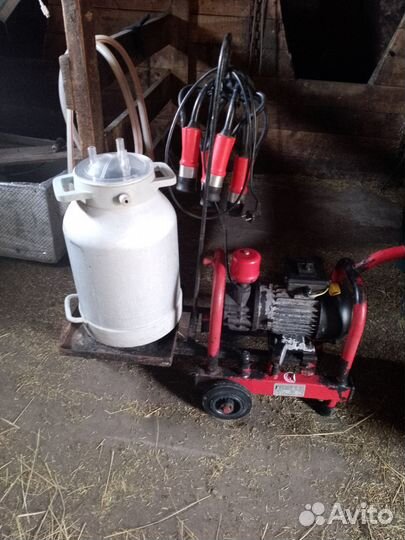 Доильный аппарат для коров