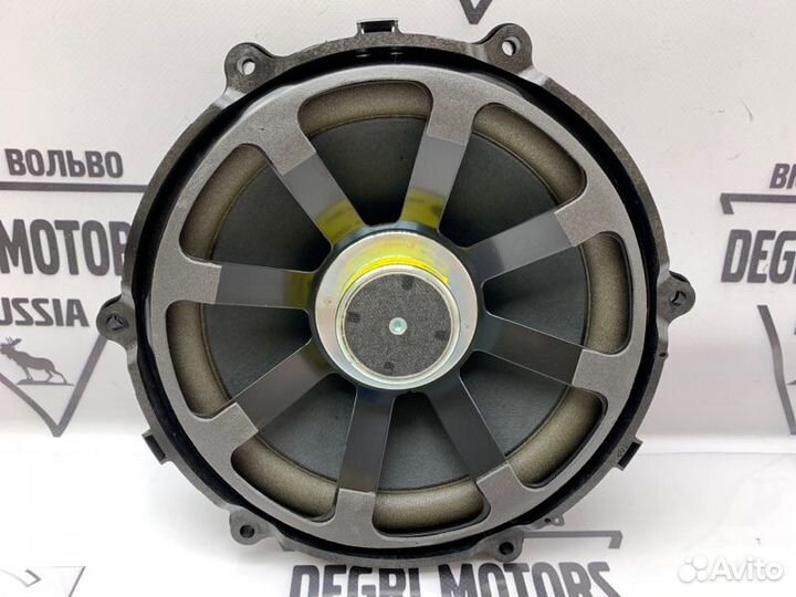 Сабвуфер в дверь багажника Range Rover Sport 1