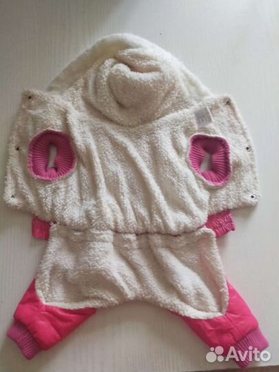 Одежда для собак мелких пород