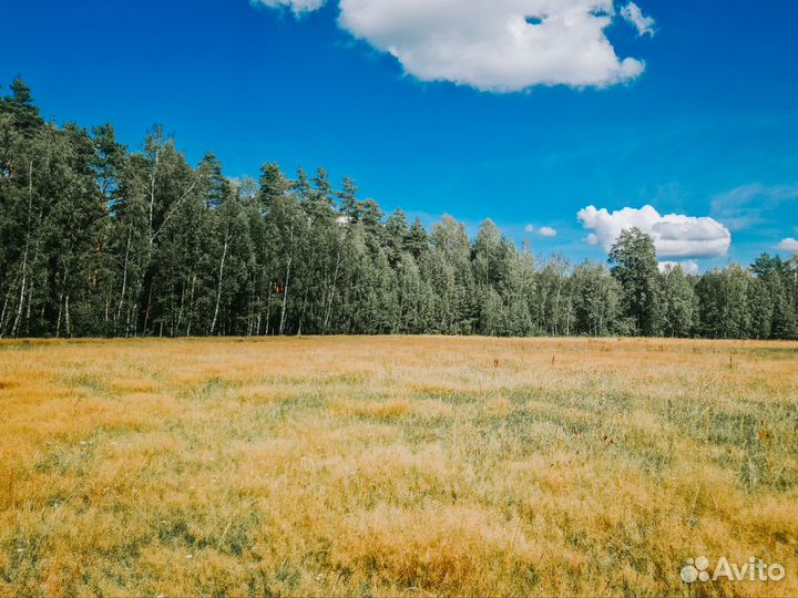 Постой для лошадей
