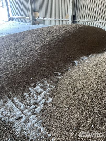 Зерно пшеница ячмень