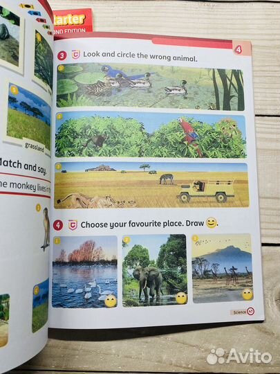 Super Minds Starter второе издание