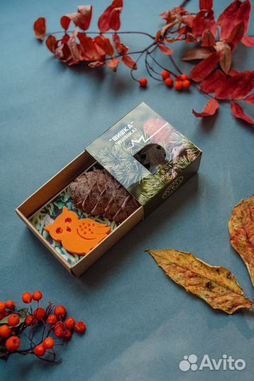 Шоколадная шишка