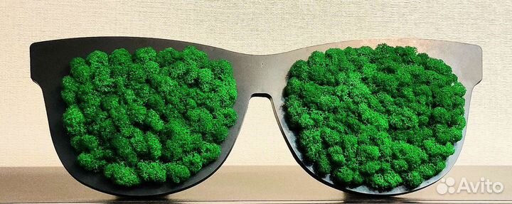 Мох стабилизированный