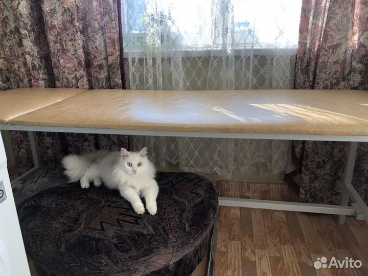 Кушетка массажная