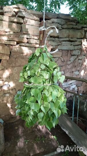 Веники для бани: береза