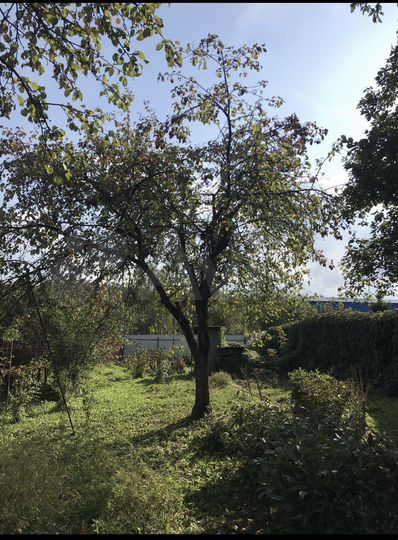 Дача 32 м² на участке 7 сот.