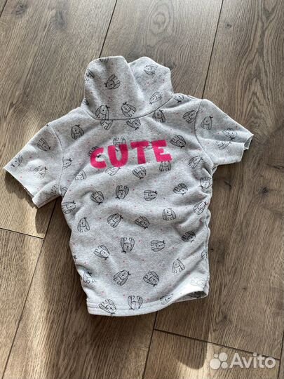 Одежда для собак