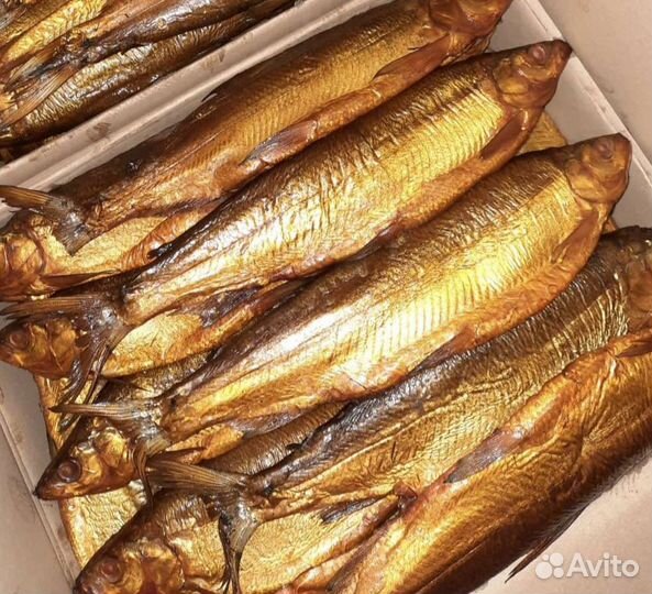 Армянский сиг горячего копчения