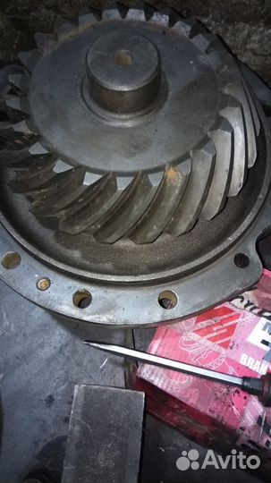 Редуктор задний ивеко тракер (23/36)