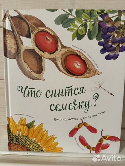 Книга Что снится семечку