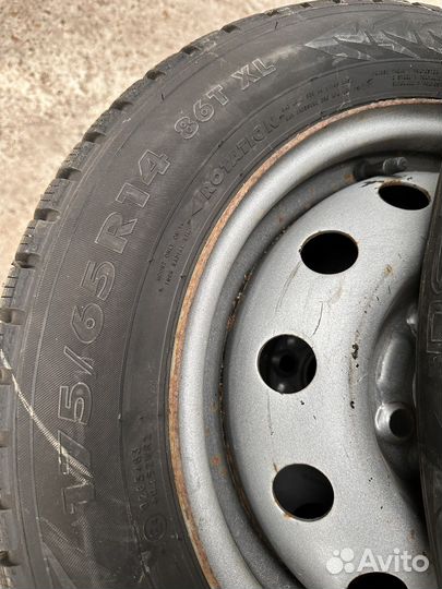 Nokian Tyres Nordman 7 175/65 R14 86T