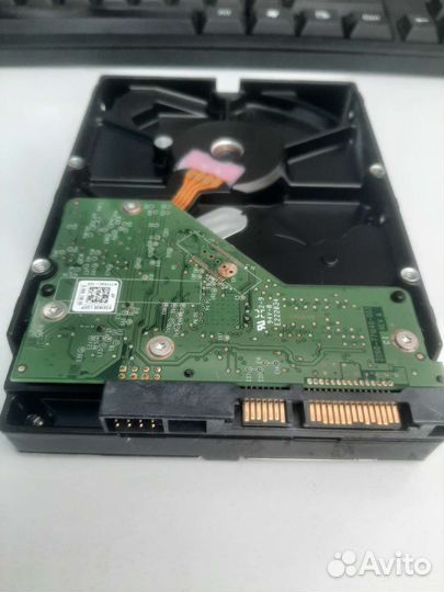 HDD Диск WD
