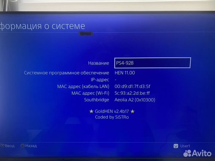 Sony PS4 Fat прошитая