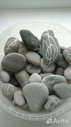 Морские камни