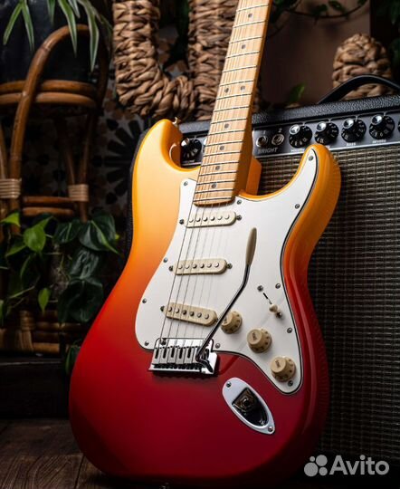 Электрогитара Fender Мексика (Комплект)