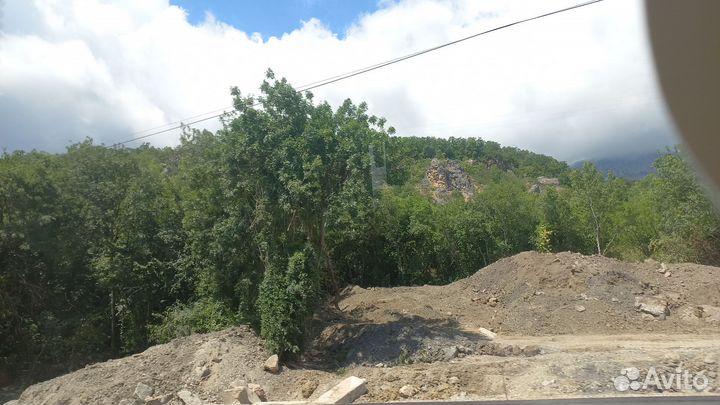 Домашние животные