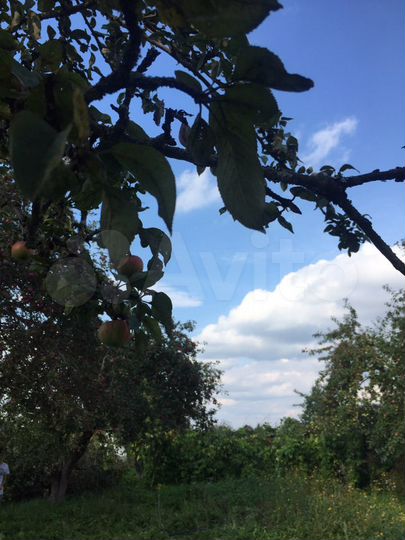 Участок 11 сот. (СНТ, ДНП)