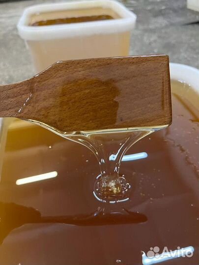 Свежий Майский мёд. Качка 2023 Оптом