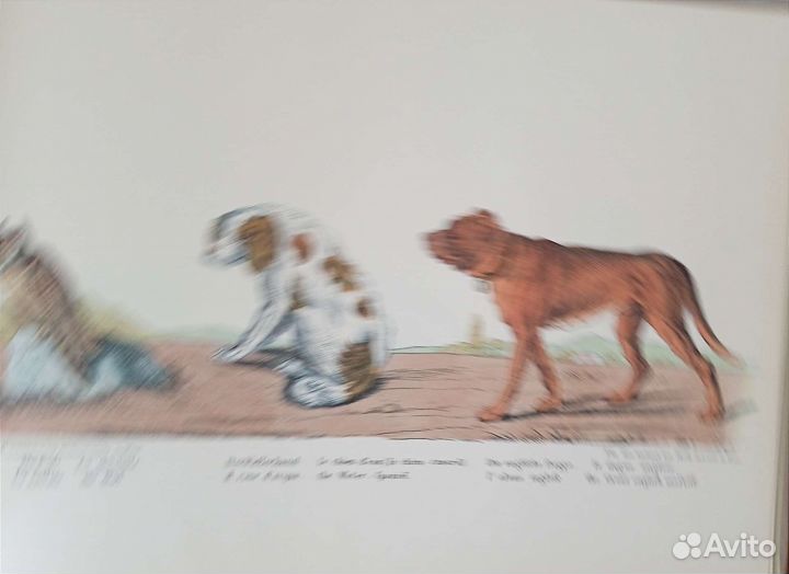 Детская книга-альбом на немецком и ещё 3-х языках