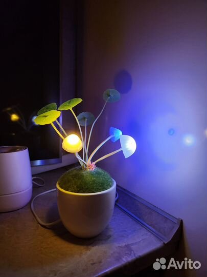 Ночник цветы Пандоры