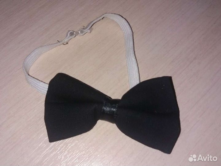 Бабочка новая