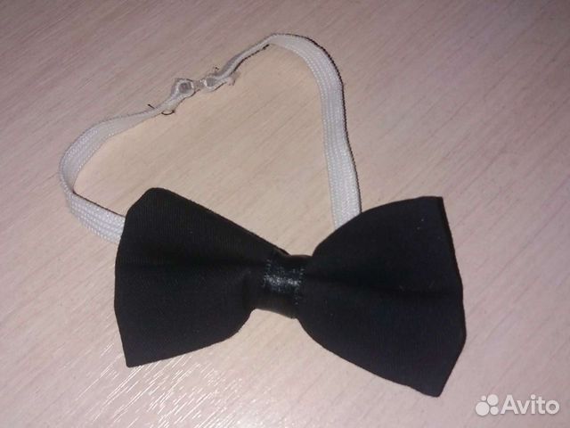 Бабочка новая