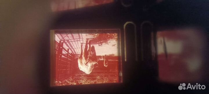 Диапозитивы