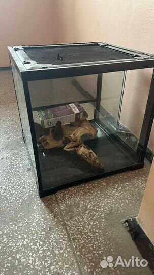 Террариум для рептилий