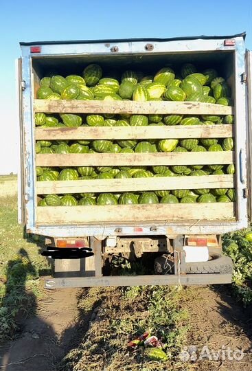 Водитель категории C