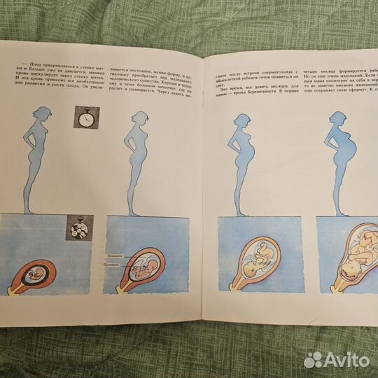 Энциклопедия сексуальной жизни для детей