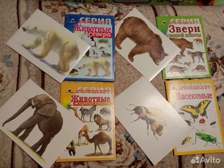 Демонстрационный материал для фронтальных занятий