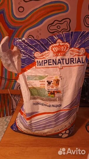 Корм для собак